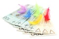 Colored feathers and banknotes on white background Royalty Free Stock Photo