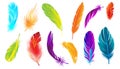Colored Feathers Realistic Set Royalty Free Stock Photo