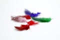 Colored feathers