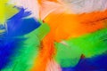 Colored feathers in various combinations, children`s toy