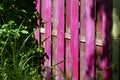 Colorful garden fence