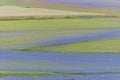 Colored fields in Piano Grande, Monti Sibillini NP, Umbria, Ital Royalty Free Stock Photo