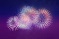 Fireworks on the dark blue sky background Royalty Free Stock Photo