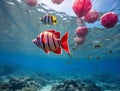 colored fish in the sea, seabed, marine life