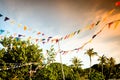 Colored flags hanging at tropical beach Royalty Free Stock Photo