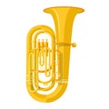 Colored flat style tuba music instrument vector illustration