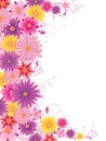 Colored floral background