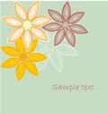 Colored floral background