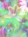 Colored floral background with orchid