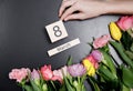 Colored flowers on a black background. March, 8th Royalty Free Stock Photo