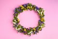 Colored flowers on pink background composition, circle shape. Flat lay Royalty Free Stock Photo