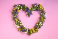 Colored flowers on pink background composition, heart shape Royalty Free Stock Photo