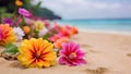 Colored flowers on sand beach background