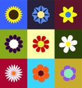 Colored Flowers into squares Vector set