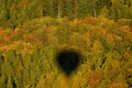 Colored forest in the Bohemian Paradise with the shadow of a hot air balloon