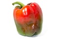 Colored Fresh paprika Royalty Free Stock Photo