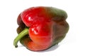 Colored Fresh paprika Royalty Free Stock Photo