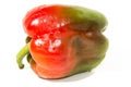 Colored Fresh paprika Royalty Free Stock Photo