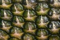 Colored fresh ripe pineapple peel texture closeup