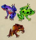 Colored frogs Royalty Free Stock Photo