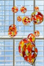 Colored Glass Balloons Royalty Free Stock Photo