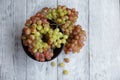 Colored grapes in a black bowl on a gray wooden table,top view Royalty Free Stock Photo