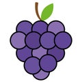 Colored grapes fruit icon Vector