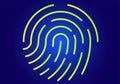 Colored Graphic Fingerprint : Vector