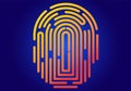 Colored Graphic Fingerprint : Vector