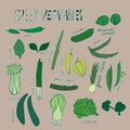 Colored green vegetables. Hand drawn objects with white outline on brown background. Vector illustration