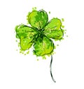 Colored hand drawing cloverleaf Royalty Free Stock Photo