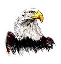 Colored hand drawing eagle