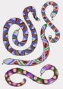 Colored hand drawn picture of patterned snakes. Royalty Free Stock Photo