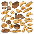 Colored hand drawn pictures of fresh bread and different types of bakery food. Baguette, croissant and others