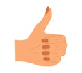 colored hand gesture thumbs up