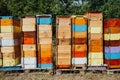 Colored hives in a forest apiary stand on top of each other.