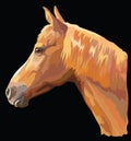 Colored Horse portrait-9