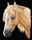 Colored Horse portrait-8