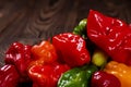 Colored hot peppers on a wooden surface Royalty Free Stock Photo