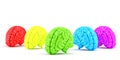 Colored human brains. Creative concept. Isolated. Contains clipping path