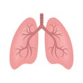 The colored icon is lungs. An internal pipe organ located in the chest cavity, which carries out gas exchange between inhaled air Royalty Free Stock Photo