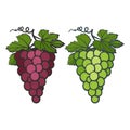 Colored icons of bunches of grapes with leaves