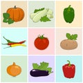 Colored Icons Fresh Vegetables