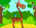 Colored illustration background of a giraffe