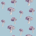 Colored image of poisonous fly agaric mushrooms. Seamless pattern Royalty Free Stock Photo