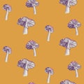 Colored image of poisonous fly agaric mushrooms. Seamless pattern Royalty Free Stock Photo