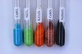 Colored inorganic salt reagents in test tubes with formulas. Royalty Free Stock Photo