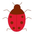 colored insect ladybug. Icon, element, object . Royalty Free Stock Photo