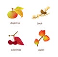 Colored isolated autumn elements fall leaves vector