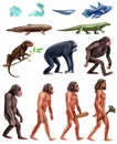 Darwin Evolution Icon Set Royalty Free Stock Photo